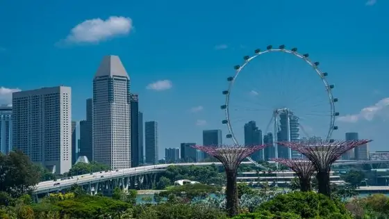 Expand business to Singapore
